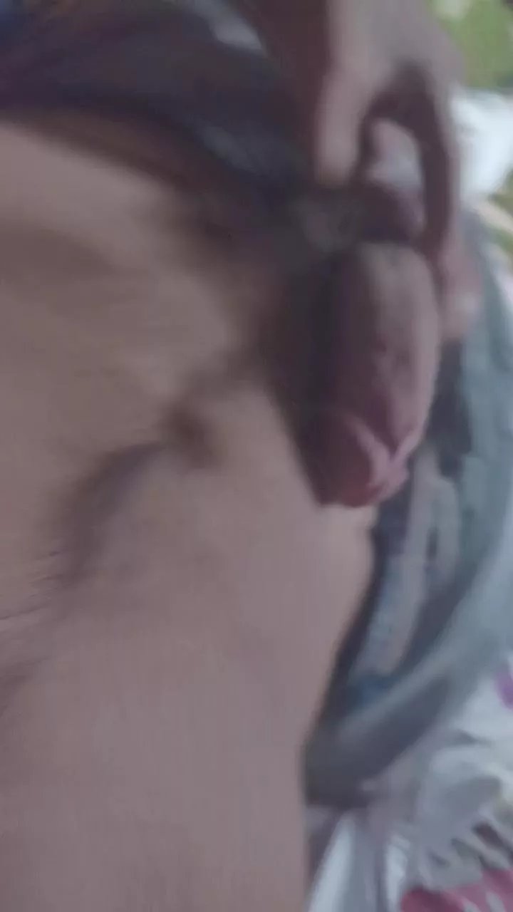 Offline mach75 on Cam4