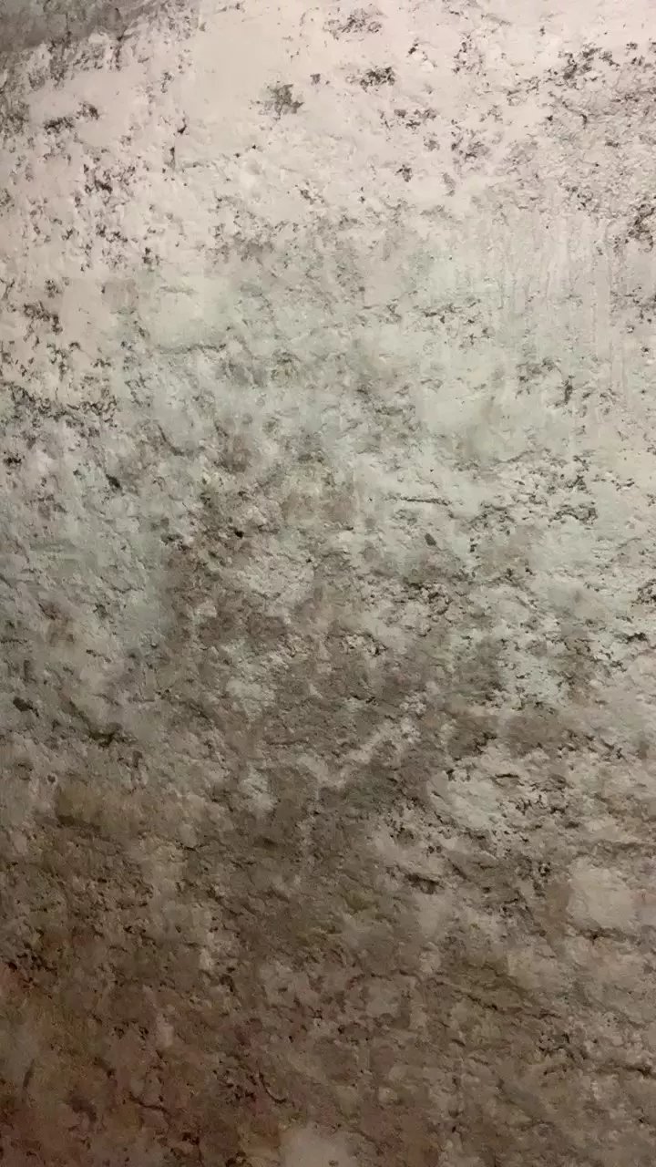 Offline Moto_boy1997 on Cam4