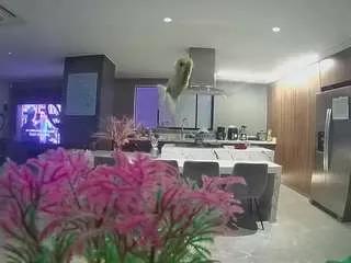 voyeurcam-casa-salsa-fishtank on CamSoda 