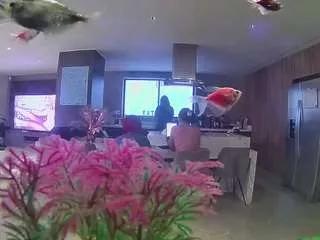 voyeurcam-casa-salsa-fishtank on CamSoda 